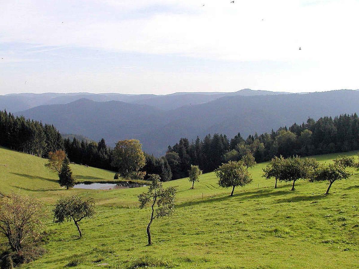 Schanzenberghof Хорнберг Экстерьер фото