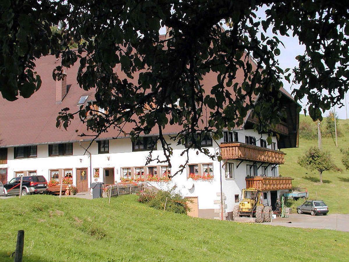 Schanzenberghof Хорнберг Экстерьер фото